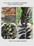 Los taninos y su aplicación en impresión botánica y tintes naturales - comprar online