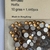 Strass Bronze Para Decoração Unhas Tamanhos Variados - D&Z - comprar online