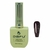 Kit Top Coat + Top Coat Chameleon Unhas Led/Uv 15ml - Dafu - comprar online