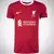 Camisa Liverpool torcedor 2023/2024