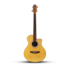 Guitarra ElectroAcustica Parquer GAC150