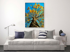 Ipê Amarelo com céu azul: Canvas Tela Fine Art 60x80 cm