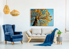 Ipê Amarelo com céu azul: Canvas Tela Fine Art 60x80 cm (cópia) - buy online