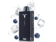 IGNITE V150 Blueberry Ice