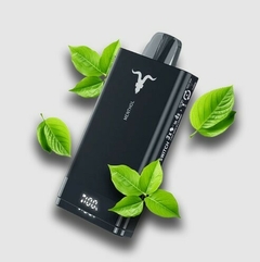 IGNITE V150 Menthol