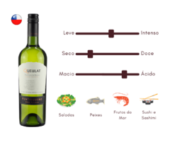 Vinho Branco Gran Reserva Sauvignon Blanc Queulat - comprar online