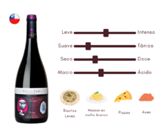 Vinho Tinto Reserva Pinot Noir Viejo Feo - comprar online