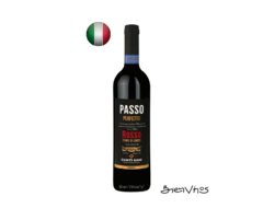 Vinto Tinto Passo Perfetto Rosso Terre di Chieti IGT 750 ml