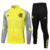 conjunto-agasalho-flamengo-24-25-adidas-torcedor-jaqueta-calça-masculino-masculina-amarelo-cinza