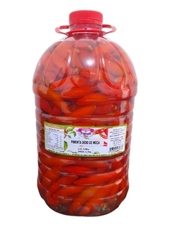 Pimenta Dedo de Moça 4,9Kg