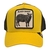 Gorra Goorin Bros Borrego amarillo Black sheep 101-0380 - comprar en línea