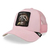 Gorra Goorin Bros FADED SLOTH rosa 101-1673