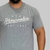 Camiseta Abercrombie & Fitch-00189 - comprar online