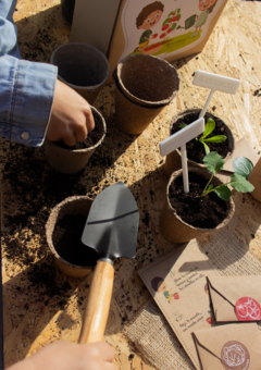 Kit mi Primer Huerta Infantil - comprar online