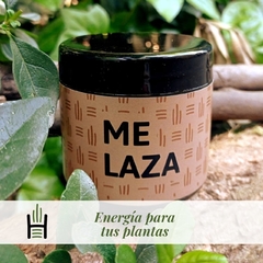 Melaza: Energía Natural para tus Plantas