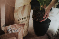 Bolsa Humus 10 LTS - comprar online