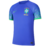 Camisa Seleção Brasil II Away 2022 Copa Do Mundo Torcedor Nike Masculina - Azul