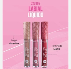 LABIAL LIQUIDOS ACABADO EN MATTE PRINTED ON ME ! / PINK 21 #CS3802 en internet