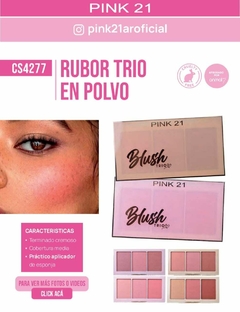 RUBOR EN POLVO TRIO / PINK 21 #CS4277