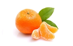 MANDARINA XGR