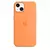 Case em Silicone Para iPhone (Laranja) na internet