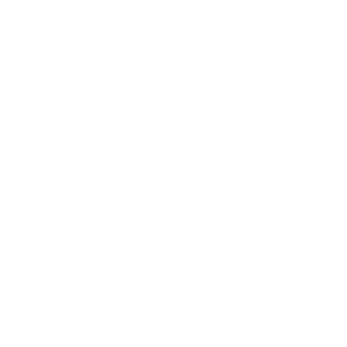 Frozz Company