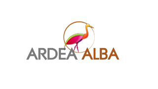 Ardea Alba Turbantes