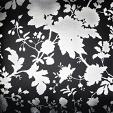 Papel de parede floral BW/6130612 - comprar online