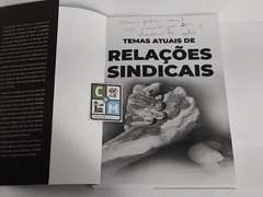 Temais Atuais De Relações Sindicais Livro Matrioska Editora (leia o anúncio) na internet