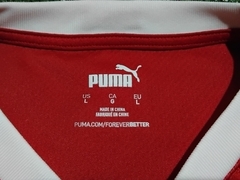 SÉRVIA 2020-2021 Puma Home Camisa Importada Tamanho G - loja online