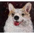 QUADRO CACHORRO CORGI PINTURA 30X30 - comprar online