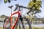 Bicicleta OGGI Velloce Disc 700 com Câmbios Shimano Claris de 16 Velocidades Freio a Disco Shimano Claris Disc e Garfo Rígido Tapered em Fibra de Carbono Vermelho/Preto