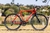 Imagem do Bicicleta OGGI Velloce Disc 700 com Câmbios Shimano Claris de 16 Velocidades Freio a Disco Shimano Claris Disc e Garfo Rígido Tapered em Fibra de Carbono Vermelho/Preto