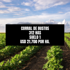 CAMILO ALDAO - 312 HAS - AGRICOLA - CONSULTAS 3513259878