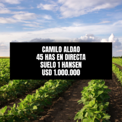 CAMILO ALDAO - 45 HAS - AGRICOLA - CONSULTAS 3513259878