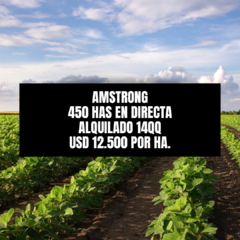 AMSTRONG - 450 HAS - AGRICOLA - CONSULTAS 3513259878