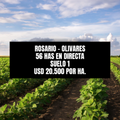 ROSARIO - OLIVARES - SUELO 1 - 52 HAS - AGRICOLA - CONSULTAS 3513259878