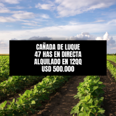 CAÑADA DE LUQUE - 47 HAS - AGRICOLA - CONSULTAS 3513259878