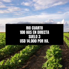 RIO IV - 100 HAS - AGRICOLA - CONSULTAS 3513259878