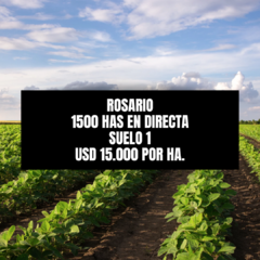 ROSARIO - 1500 HAS - SUELO 1 AGRICOLA - CONSULTAS 3513259878