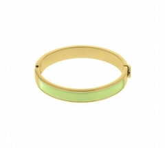 Bracelete dourado resinado - loja online