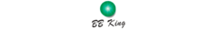 Banner da categoria  BB KING