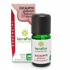 ÓLEO ESSENCIAL EUCALIPTOS GLÓBULOS 10ML ( TERRA FLOR ) - comprar online