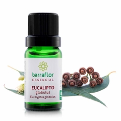 ÓLEO ESSENCIAL EUCALIPTOS GLÓBULOS 10ML ( TERRA FLOR ) na internet