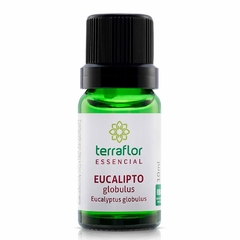 ÓLEO ESSENCIAL EUCALIPTOS GLÓBULOS 10ML ( TERRA FLOR )