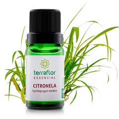 ÓLEO ESSENCIAL CITRONELA 10ML na internet