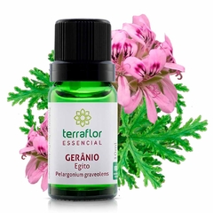 ÓLEO ESSENCIAL GERANEO EGITO 10ML - comprar online