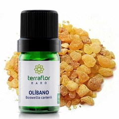 ÓLEO ESSENCIAL OLÍBANO TERRA FLOR 5ML na internet