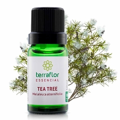 ÓLEO ESSENCIAL TEA TREE 10ML na internet