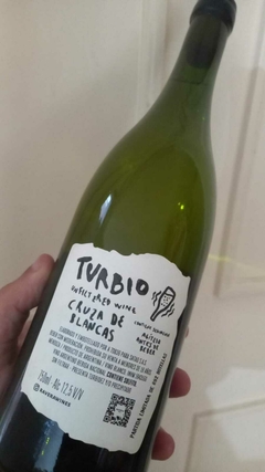 Turbio - Cruza de Blancas - 2022